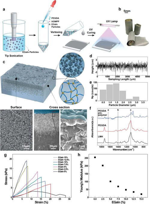 ACS Nano 可3D打印可重复书写液态金属水凝胶